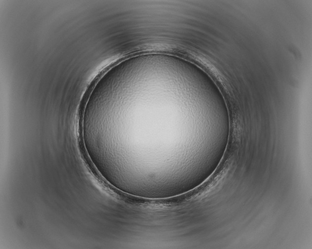 X0000115271034200911131803