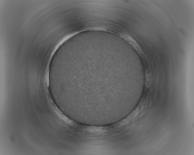 X0000115271036200911131803