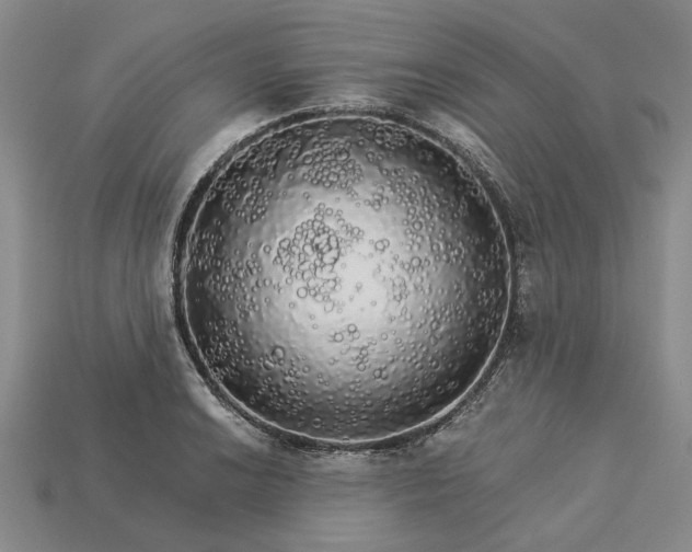 X0000115271038200911131803