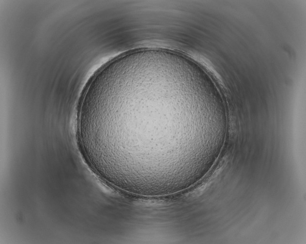 X0000115271040200911131803