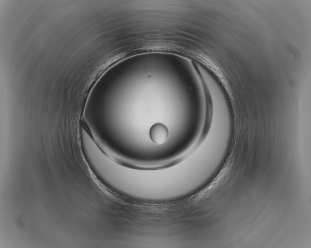 X0000115271041200911131803