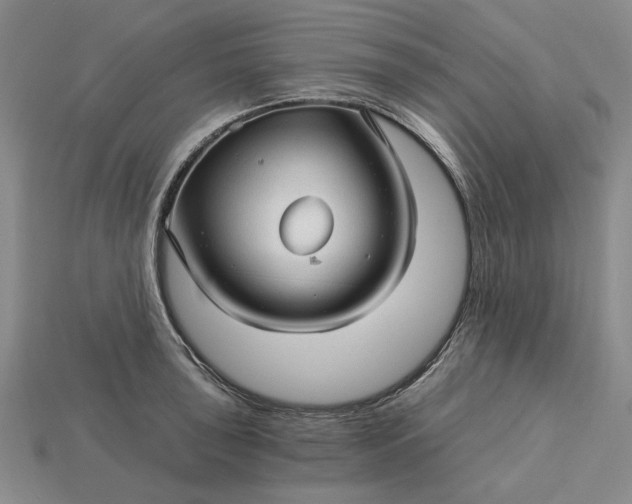 X0000115271043200911131803