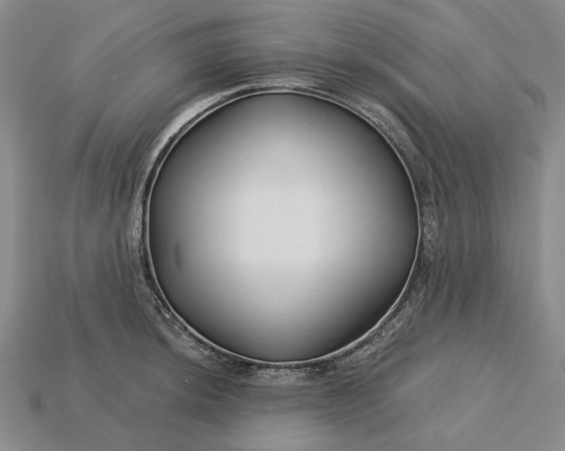 X0000115271044200911131803