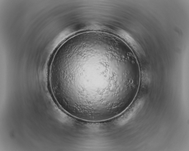 X0000115271046200911131803