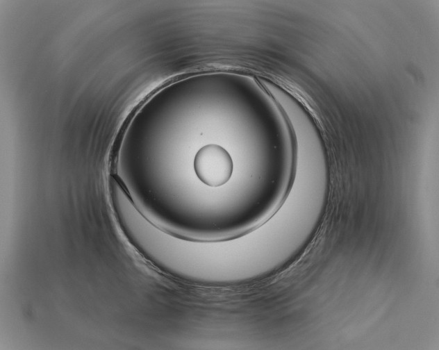X0000115271047200911131803
