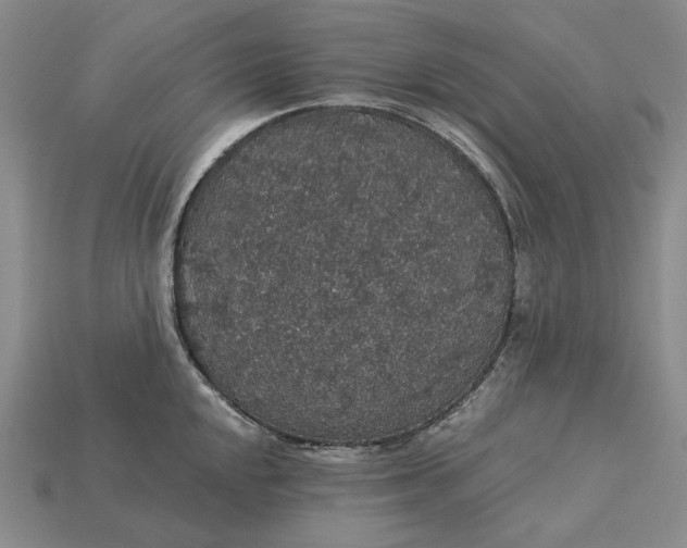 X0000115271048200911131803