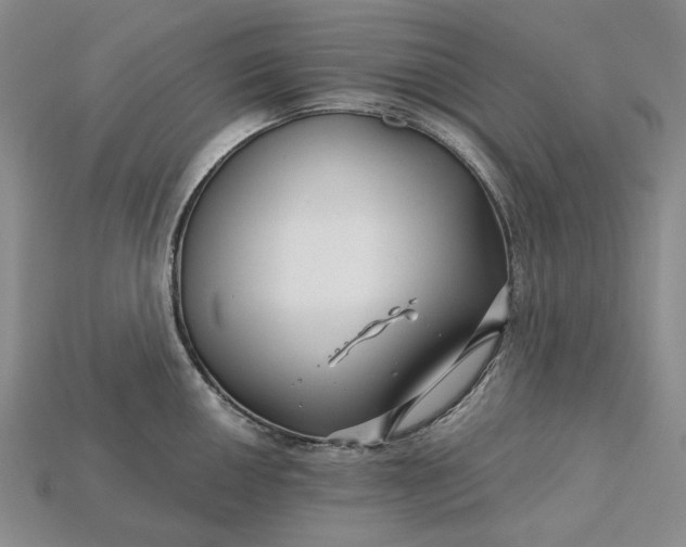 X0000115271050200911131803