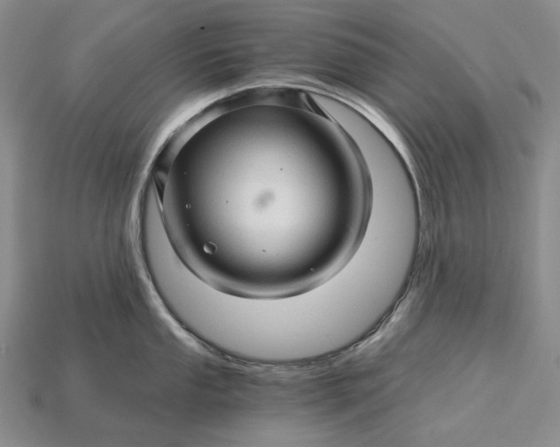 X0000115271053200911131803