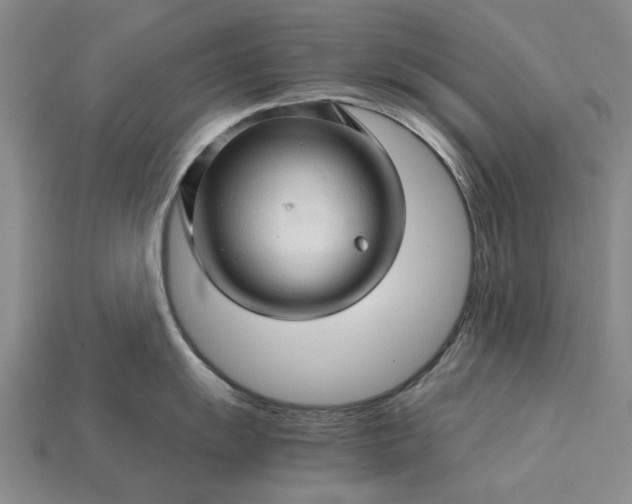 X0000115271055200911131803