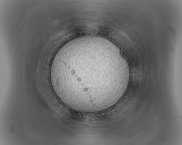 X0000115271057200911131803