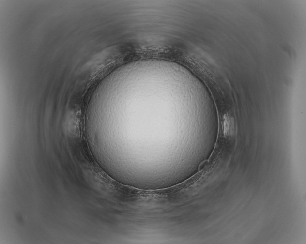 X0000115271059200911131803