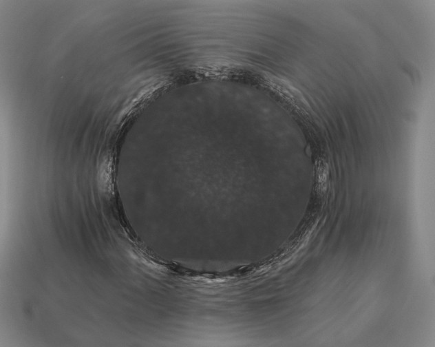 X0000115271060200911131803