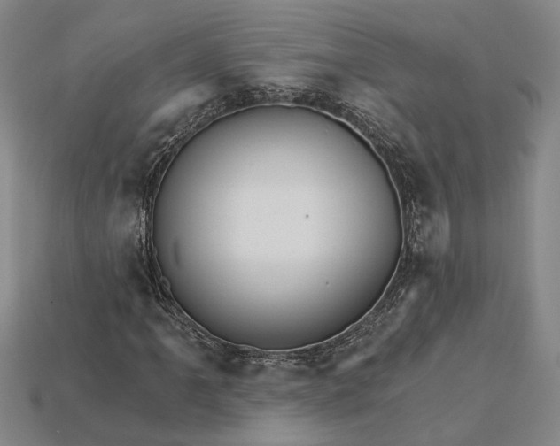 X0000115271061200911131803