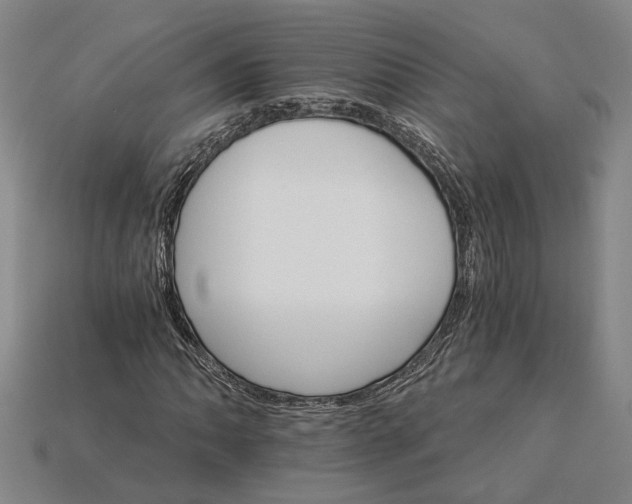 X0000115271062200911131803