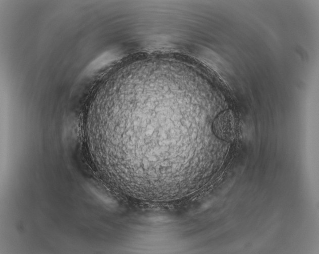 X0000115271063200911131803