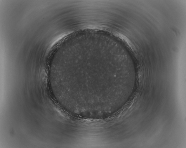 X0000115271064200911131803