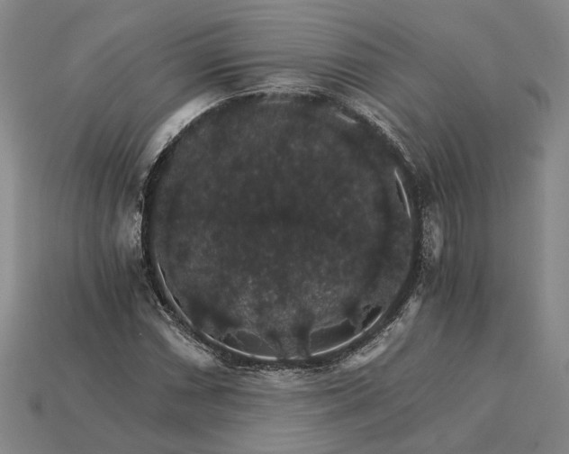 X0000115271066200911131803