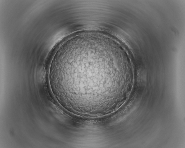 X0000115271067200911131802
