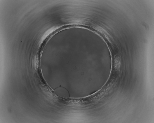 X0000115271069200911131802