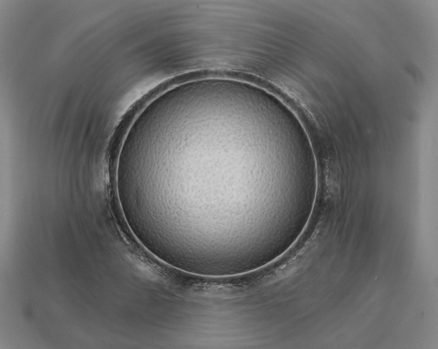 X0000115271070200911131802