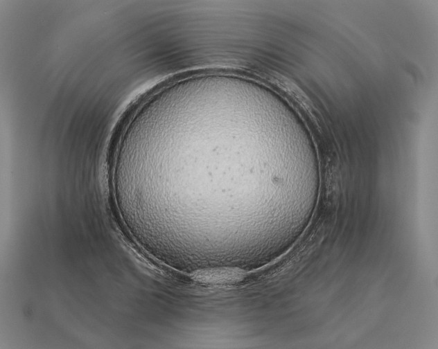 X0000115271072200911131802