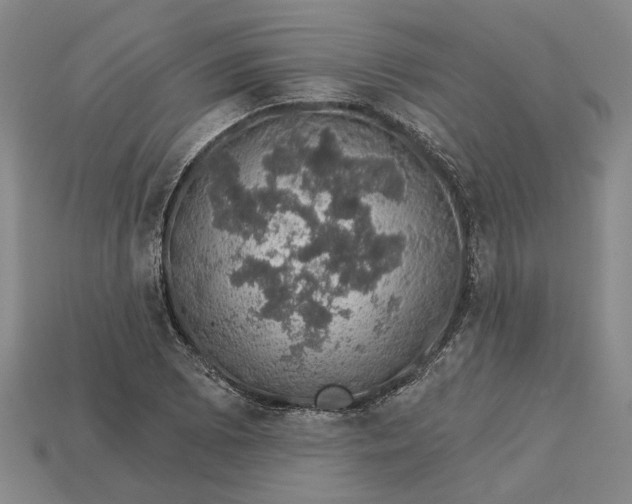 X0000115271073200911131802