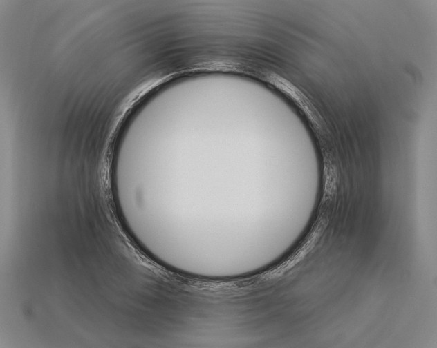 X0000115271074200911131802
