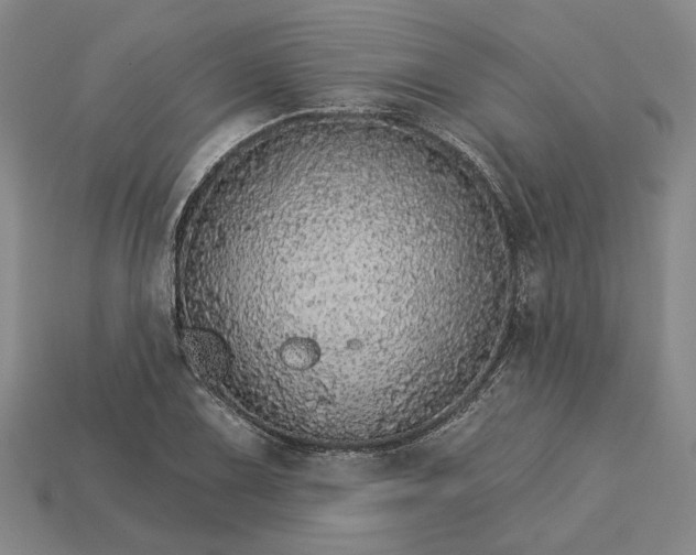 X0000115271075200911131802