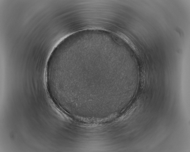 X0000115271076200911131802