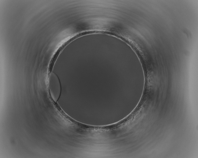 X0000115271077200911131802