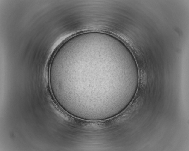 X0000115271078200911131802