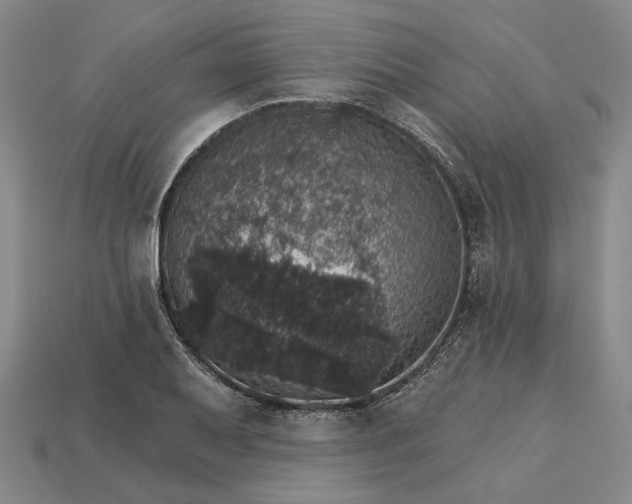 X0000115271079200911131802