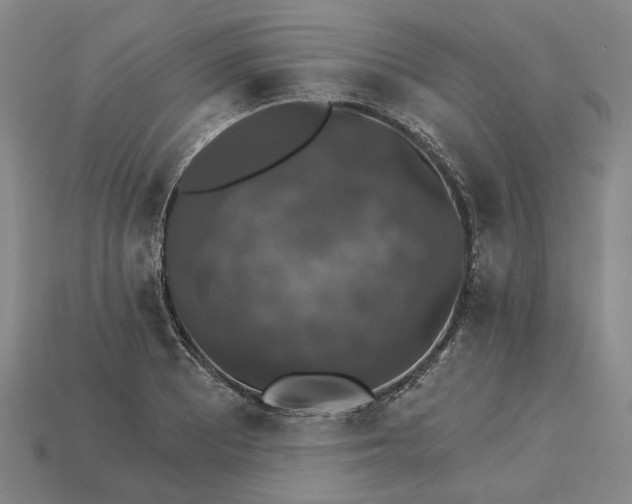 X0000115271081200911131802