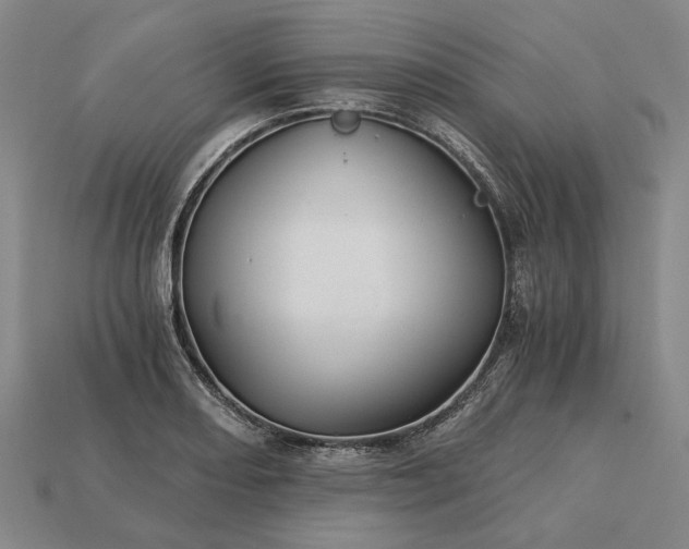 X0000115271082200911131802