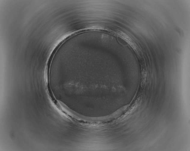 X0000115271084200911131802