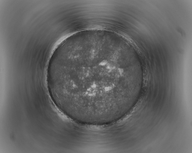X0000115271086200911131802