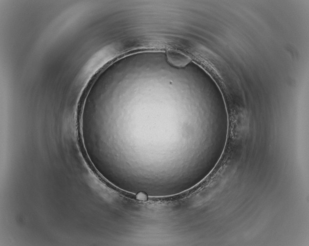 X0000115271087200911131802