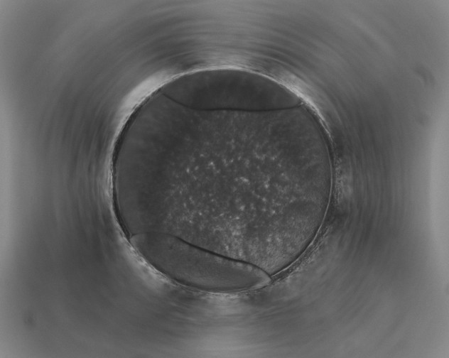 X0000115271088200911131802