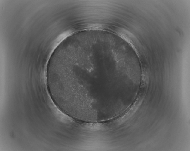 X0000115271090200911131802