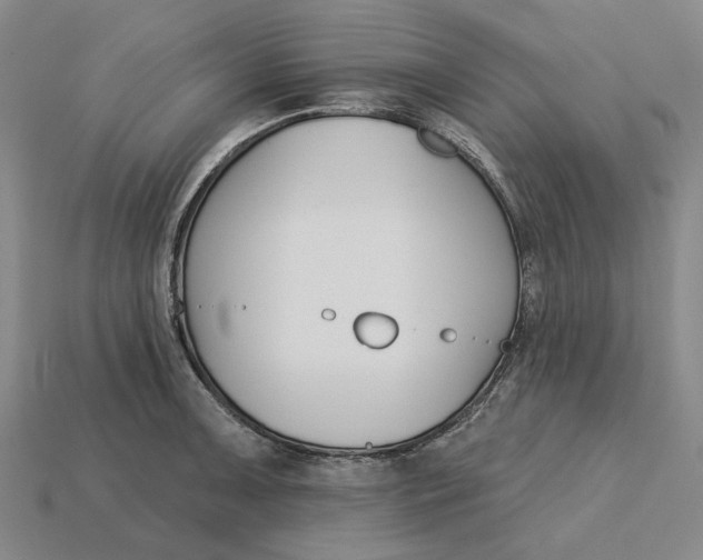 X0000115271091200911131802