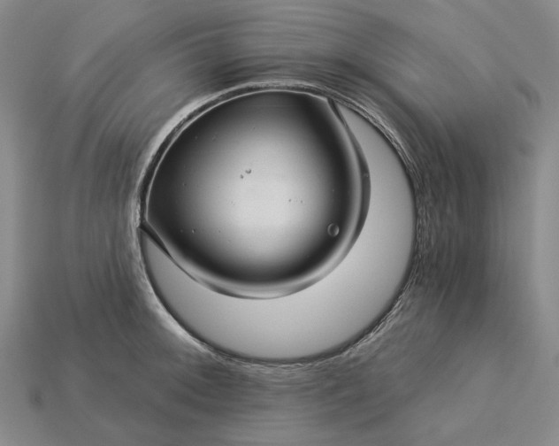 X0000115271092200911131802