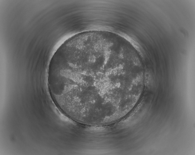 X0000115271094200911131802
