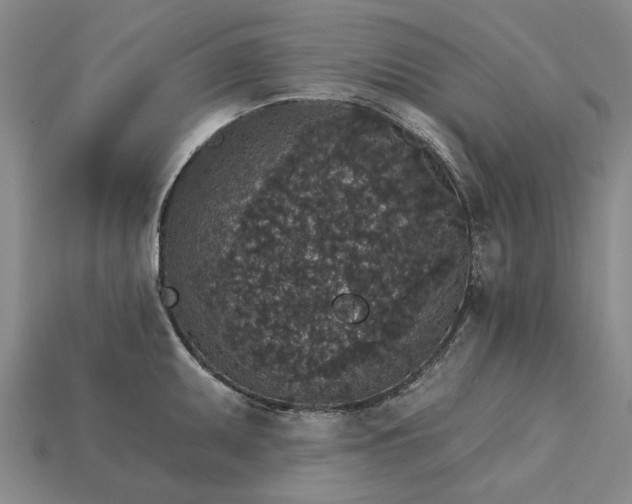 X0000115271095200911131802
