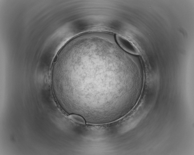 X0000115271097200911131802