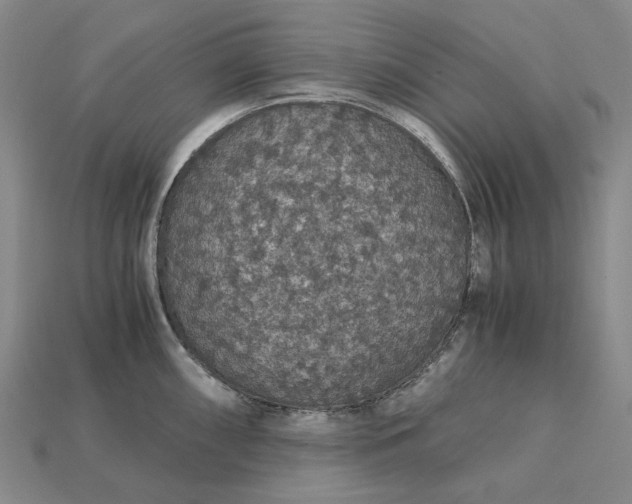 X0000115271098200911131802