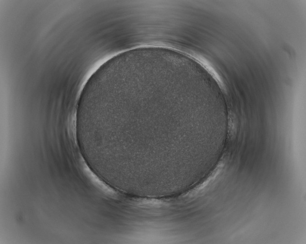X0000115271100200911131802