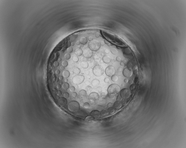 X0000115271101200911131802