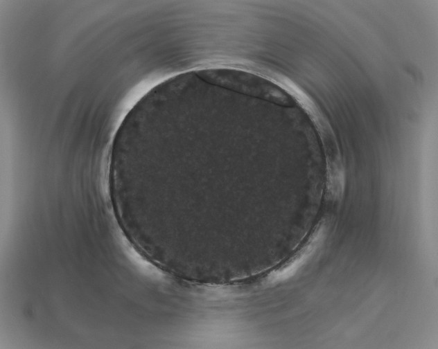 X0000115271102200911131802
