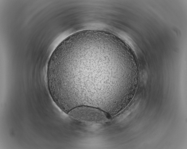 X0000115271103200911131802