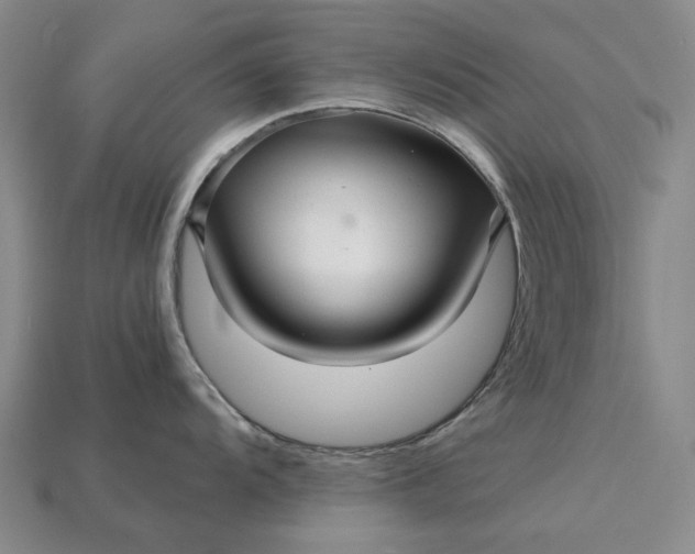 X0000115271104200911131802